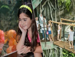 Combo (Save 21%): Dubai Aquarium + Green Planet + Dubai Frame Tickets